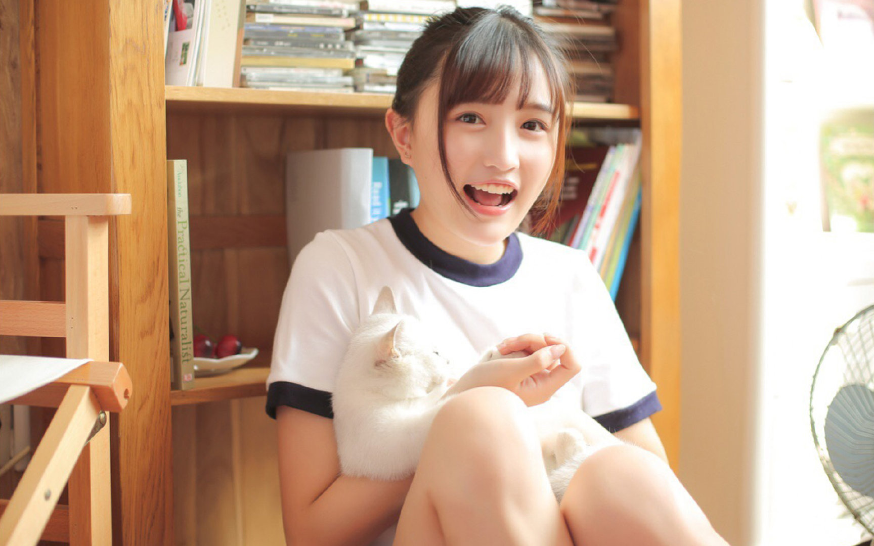 2026 世界杯期间美洲主要机场的交通预警：哪些时间段会遭遇史诗级堵车？